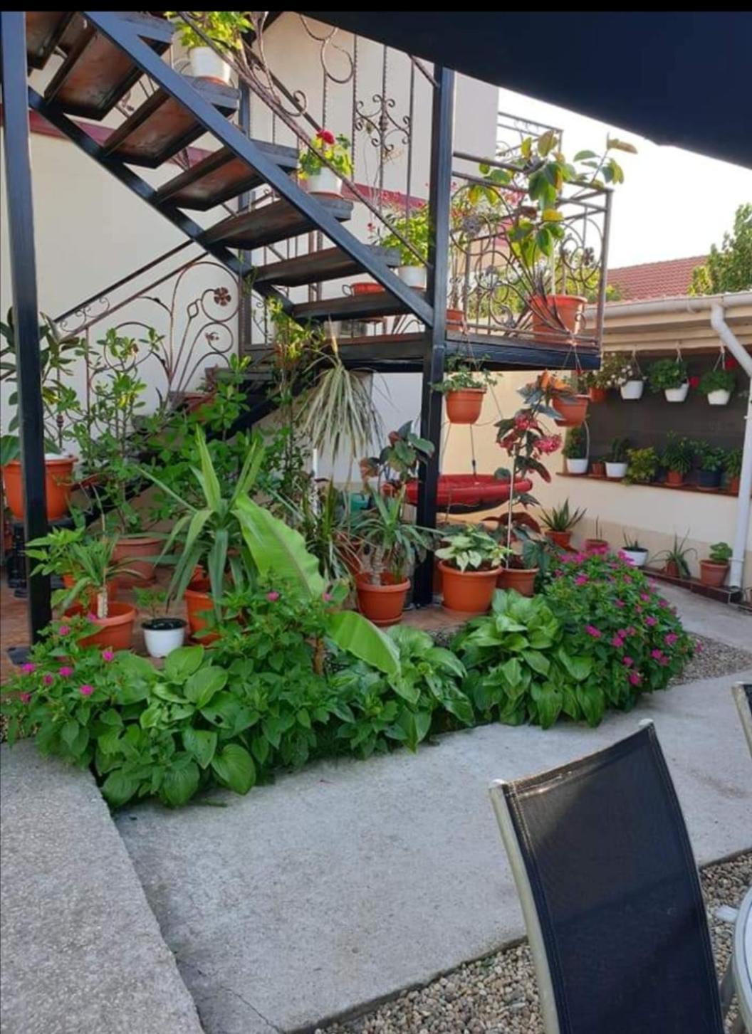 Vila Robert Hotel Schitu Exterior photo