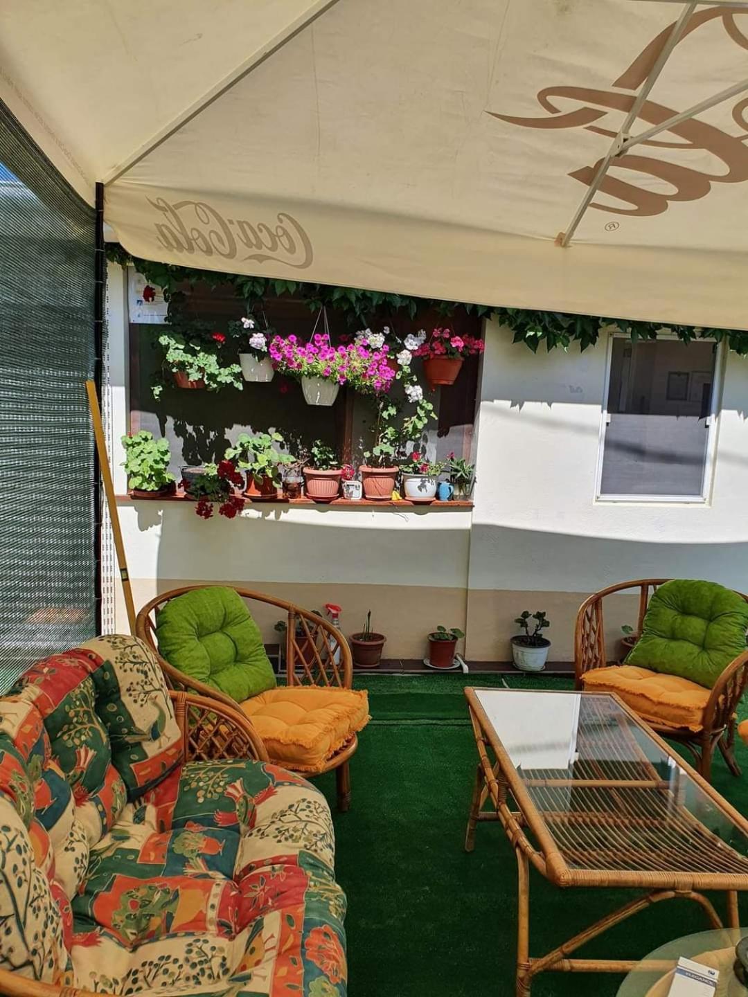 Vila Robert Hotel Schitu Exterior photo